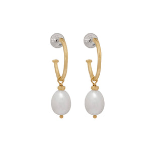 Gold Hoop Earrings With White Freshwater Pearls